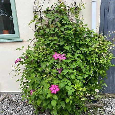 Rural Cosy Retreat For Two Near Port Isaac Apartment Delabole Exterior photo